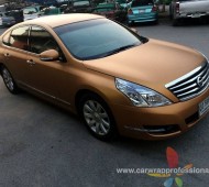 TEANA Full Wrap Copper colors