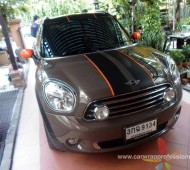 Mini Country Man กับลาย Stripes Viper