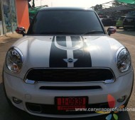 Mini Cooper Stripes Viper Devil