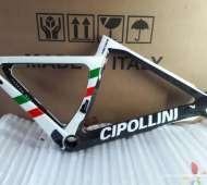 CIPOLLINI